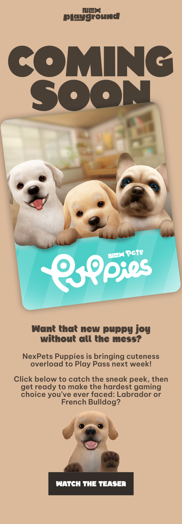 Teaser_ NexPets Puppies
